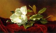 Still life floral, all kinds of reality flowers oil painting 06 unknow artist